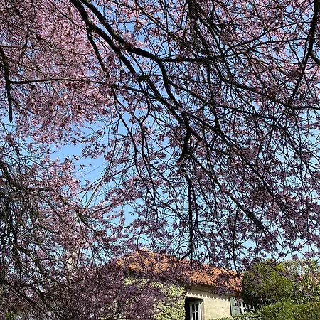 別荘 Casa Do Barreiro De Cima *