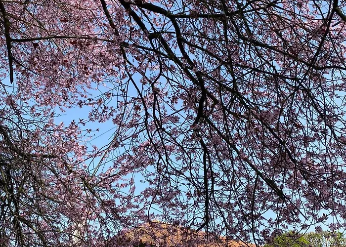 펜션 Casa Do Barreiro De Cima *