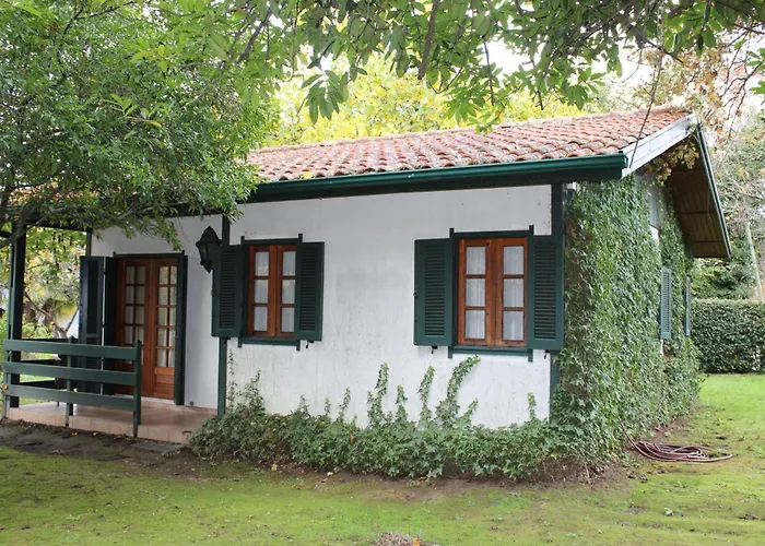 Casa Do Barreiro De Cima * Mondim de Basto